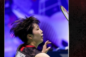 双十再创新 双十再创新